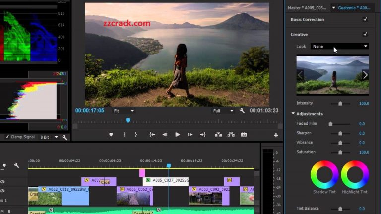 import video adobe premiere pro 2.0